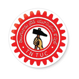 TDP I Telugu Desam Party Wings I N. Chandrababu Naidu I Telugu Desam Party I Pin Badge