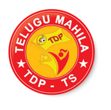 TDP I Telugu Desam Party Wings I N. Chandrababu Naidu I Telugu Desam Party I Pin Badge
