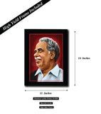 Aringar Anna, Aringar Anna poster, anna frame