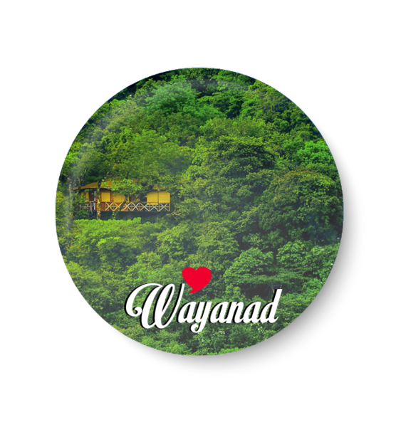 Love Wayanad