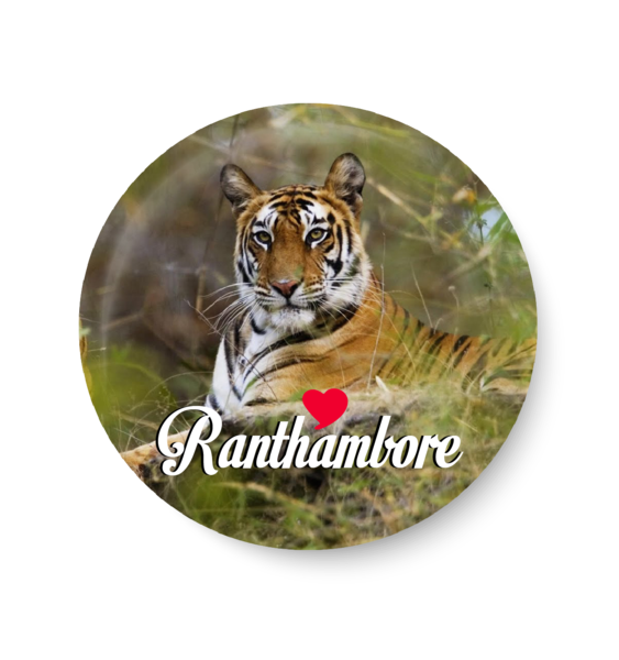 Ranthambore