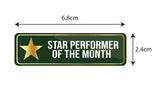 Star Performer of the Month I Award Pin | Employee of the Month I Employee Award Gift I Rectangular Pin Badge Pack of 2 No's