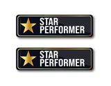Star Performer I Employee Award Gift I Rectangular Pin Badge  Pack of 2 No's