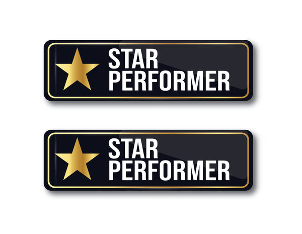 Star Performer I Employee Award Gift I Rectangular Pin Badge  Pack of 2 No's