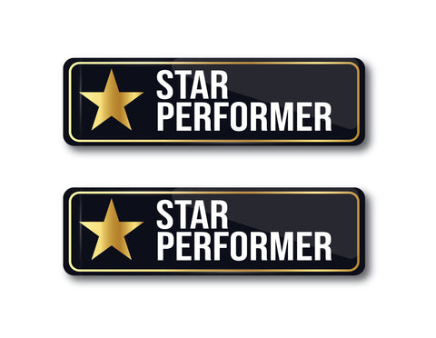 Star Performer I Employee Award Gift I Rectangular Pin Badge  Pack of 2 No's