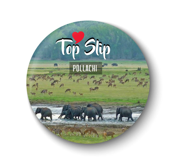 Love Top Slip I Pollachi I Tamil Nadu Series I Souvenir l Travel I Fridge Magnet