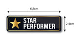 Star Performer I Employee Award Gift I Rectangular Pin Badge  Pack of 2 No's