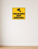 You are under CCTV Surveillance I Office I Shop I School I College I Hotel I Home I Super Market I Wall Sticker