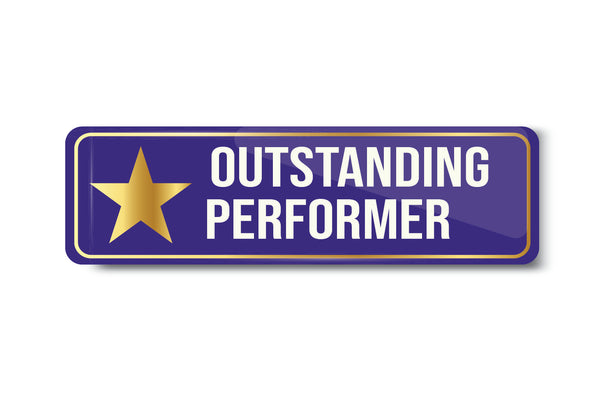 Outstanding Performer I School I College I University I Office I Company I Office Rectangular Pin Badge