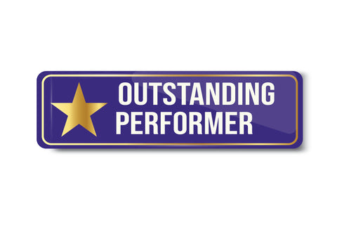Outstanding Performer I School I College I University I Office I Company I Office Rectangular Pin Badge
