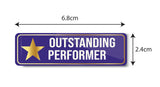 Outstanding Performer I School I College I University I Office I Company I Office Rectangular Pin Badge