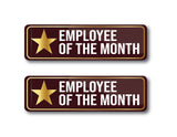 Employee of the Month I Star Performer Award Pin I Employee Award Gift I Rectangular Pin Badge Pack of 2 No's