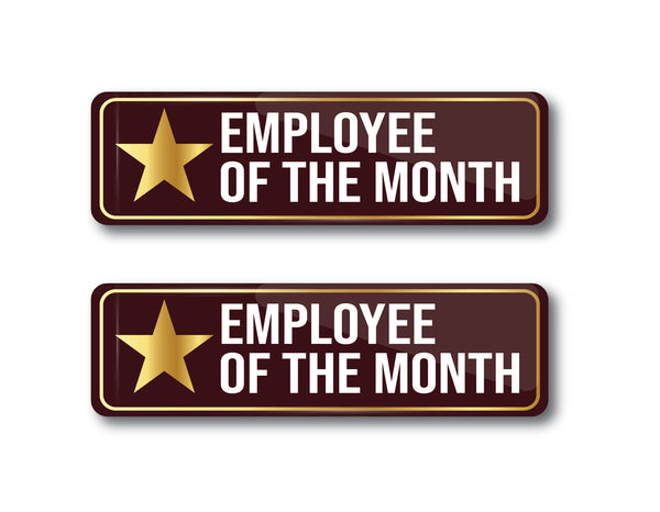 Employee of the Month I Star Performer Award Pin I Employee Award Gift I Rectangular Pin Badge Pack of 2 No's