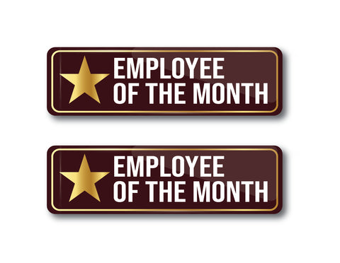 Employee of the Month I Star Performer Award Pin I Employee Award Gift I Rectangular Pin Badge Pack of 2 No's