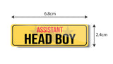 Assistant Head Boy I School I College I Rectangular Pin Badge