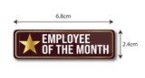 Employee of the Month I Star Performer Award Pin I Employee Award Gift I Rectangular Pin Badge Pack of 2 No's