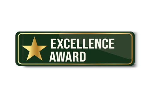 Excellence Award I Award Gift I School I College I University I Office I Company I Rectangular Pin Badge