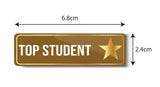 Top Student I School I College I University I Rectangular Pin Badge