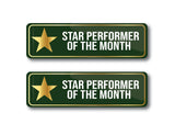 Star Performer of the Month I Award Pin | Employee of the Month I Employee Award Gift I Rectangular Pin Badge Pack of 2 No's