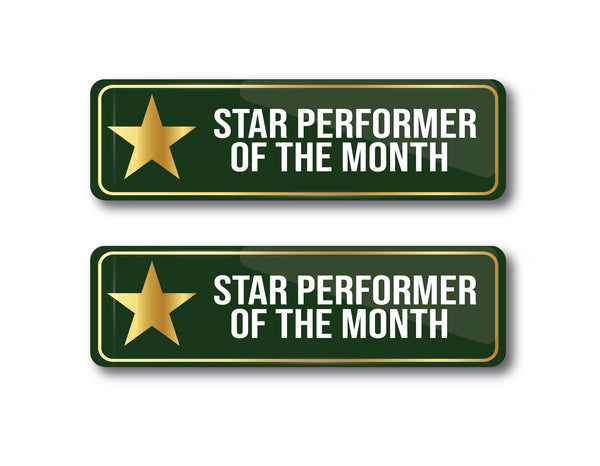 Star Performer of the Month I Award Pin | Employee of the Month I Employee Award Gift I Rectangular Pin Badge Pack of 2 No's