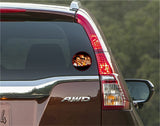 MK Stalin Karunanidhi Anna Periyar I DMK I Car Window Sticker