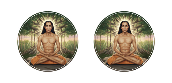 Mahavatar Babaji I Yogi Babaji I Yoga I Bike Sticker Pack of 2 No's