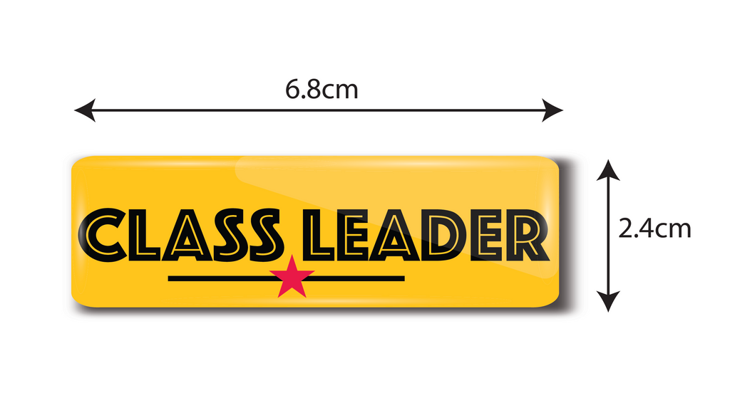 Class Leader I Class Rep I School I College I Rectangular Pin Badge ...