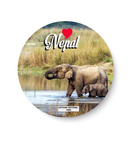 Nepal Chitwan National Park, Nepal Pin Badge