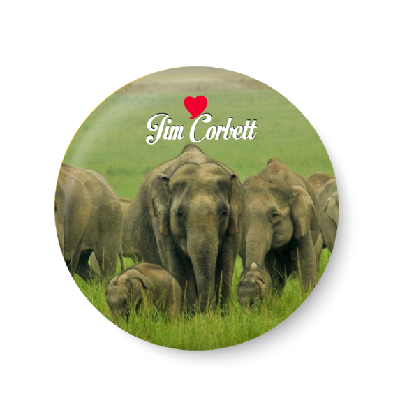 Love Jim Corbett Pin Badge