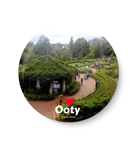 OOTY - BOTANICAL GARDAN I PINBADGE,OOTY
