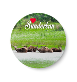 Sunderban