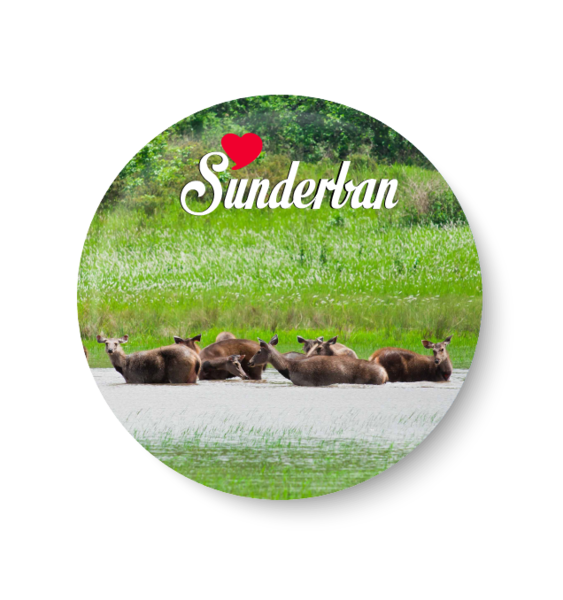 Sunderban