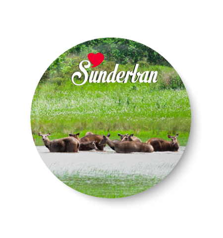 Sunderban