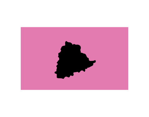 Telangana Rashtra Samithi Party I TSR I Flag Bike  Sticker