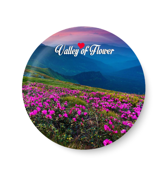  Valley of Flower